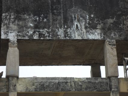 Patologia e manutenção (Grande)